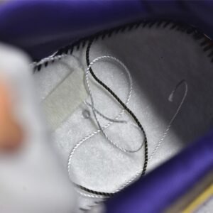 Nike SB DUNK LOW STEAMBOY OST X OTOMO KATSUHIRO BROWN/PURPLE/OFF WHITE LP3445-003