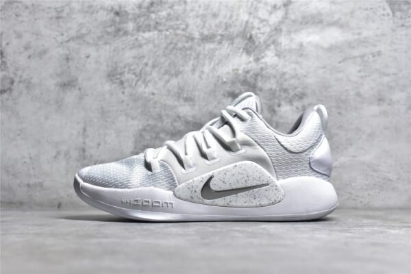Nike HYPER DUNK X LOW TB WHITE/WHITE/WHITE AR0464-100